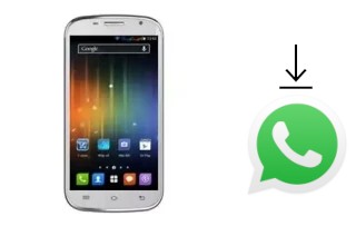 Cómo instalar WhatsApp en un FPT F80