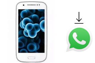 Cómo instalar WhatsApp en un Gaba Fortune9
