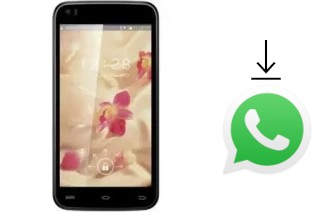 Cómo instalar WhatsApp en un GFive President Classic 9
