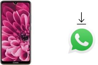 Cómo instalar WhatsApp en un Gionee F9