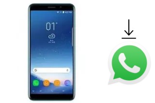 Cómo instalar WhatsApp en un Gooweel S10