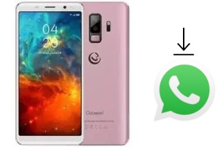 Cómo instalar WhatsApp en un Gooweel S9