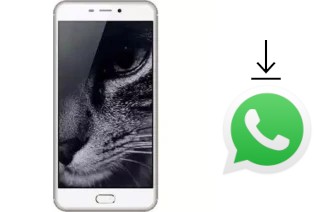 Cómo instalar WhatsApp en un Hotwav Cosmos V21