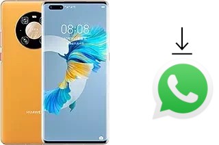 Cómo instalar WhatsApp en un Huawei Mate 40 Pro 4G