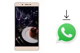 Cómo instalar WhatsApp en un Iku Zeus Z55I