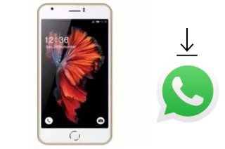 Cómo instalar WhatsApp en un L-Max Ester 1