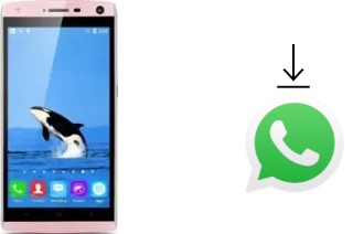 Cómo instalar WhatsApp en un Landvo V11
