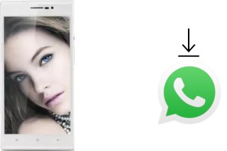 Cómo instalar WhatsApp en un Landvo V5