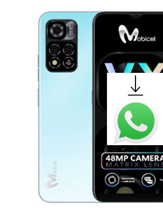 Cómo instalar WhatsApp en un Mobicel VX20