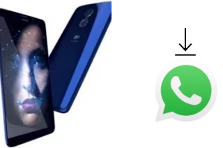 Cómo instalar WhatsApp en un MyPhone Prime 18x9 LTE
