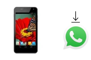 Cómo instalar WhatsApp en un NGM Legend2