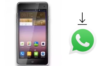 Cómo instalar WhatsApp en un Nipda Tsunami
