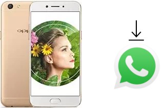 Cómo instalar WhatsApp en un Oppo A77 (Mediatek)