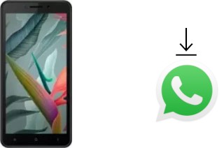 Cómo instalar WhatsApp en un Oukitel C10