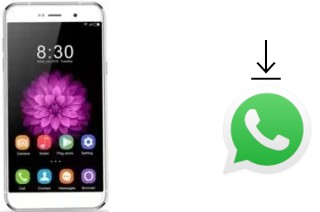 Cómo instalar WhatsApp en un Oukitel U6