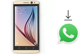 Cómo instalar WhatsApp en un Puncher UK9