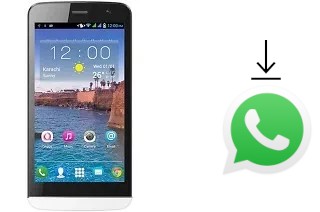 Cómo instalar WhatsApp en un QMobile Noir A550