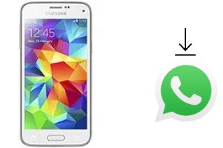 Cómo instalar WhatsApp en un Samsung Galaxy S5 mini