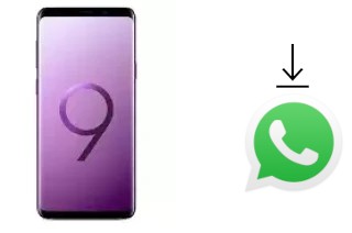 Cómo instalar WhatsApp en un Samsung Galaxy S9+ Exynos