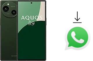 Cómo instalar WhatsApp en un Sharp Aquos R9