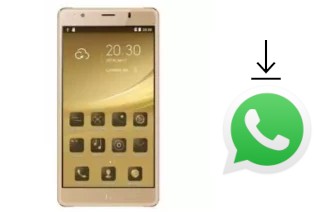 Cómo instalar WhatsApp en un SingTech Sapphire H90