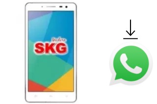 Cómo instalar WhatsApp en un SKG Modern S1
