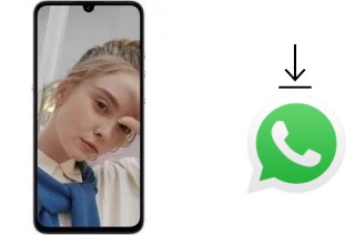Cómo instalar WhatsApp en un Smartisan NUT PRO 3
