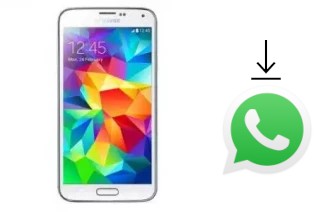 Cómo instalar WhatsApp en un Star SM-G9008