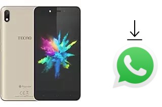 Cómo instalar WhatsApp en un Tecno Pouvoir 1