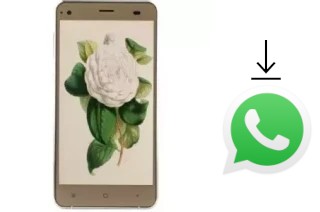 Cómo instalar WhatsApp en un VC Camellia II