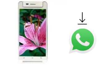 Cómo instalar WhatsApp en un VC Lily