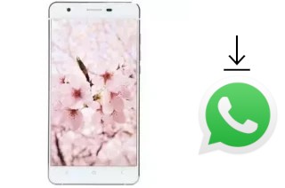 Cómo instalar WhatsApp en un VC Maple