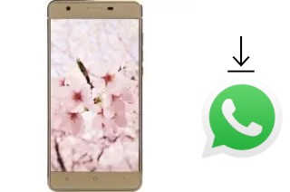 Cómo instalar WhatsApp en un VC Sakura II