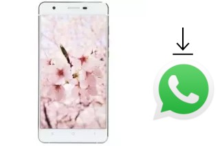 Cómo instalar WhatsApp en un VC Sakura