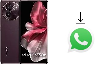 Cómo instalar WhatsApp en un vivo V30e