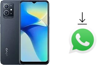 Cómo instalar WhatsApp en un vivo Y33e