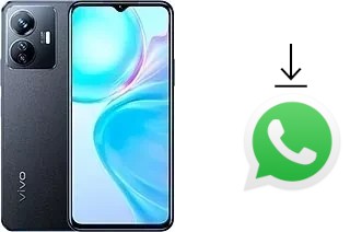 Cómo instalar WhatsApp en un vivo Y77e