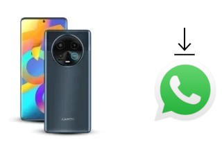 Cómo instalar WhatsApp en un Walton XANON X90