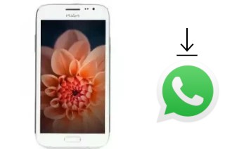 Cómo instalar WhatsApp en un Wham WS53