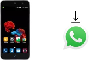 Cómo instalar WhatsApp en un ZTE Small Fresh 3