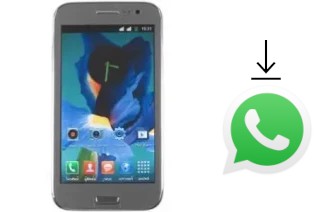 Cómo instalar WhatsApp en un ZYQ Q3022